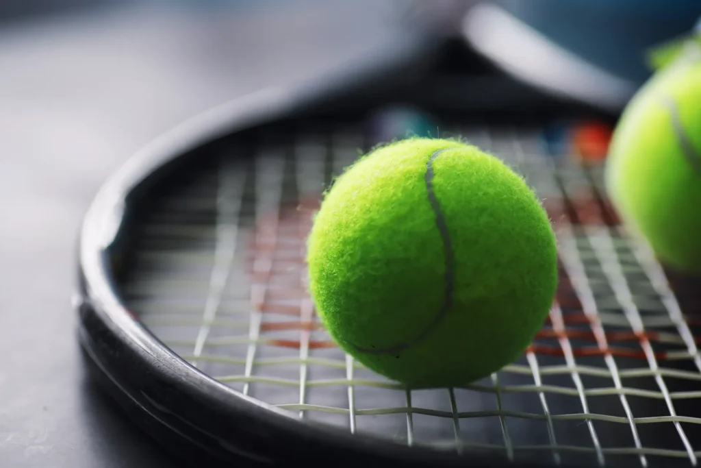 tenis club primaverii inchiriere teren acoperit 11